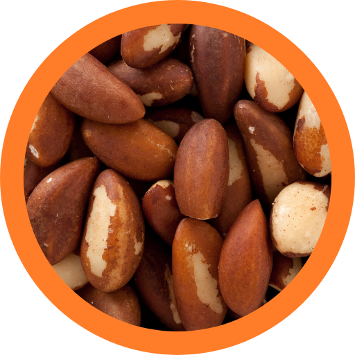 Nuts