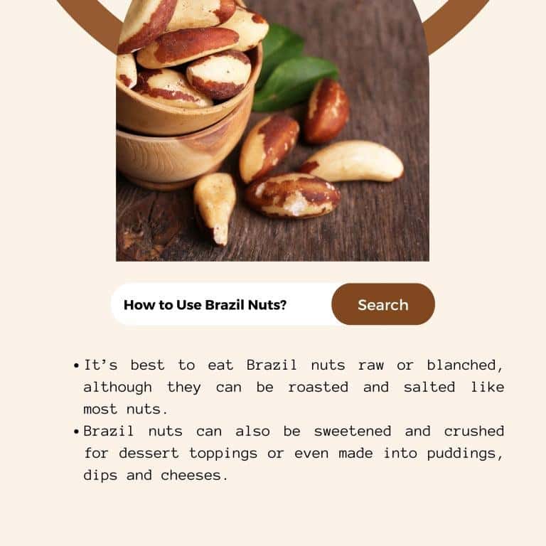brazil nuts