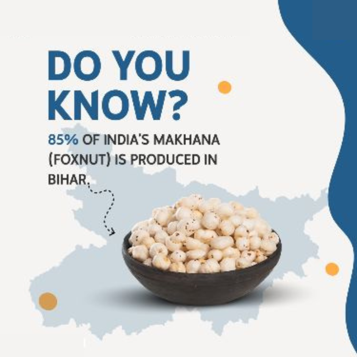 Big Size Fox Nut (Makhana) – Premium Quality