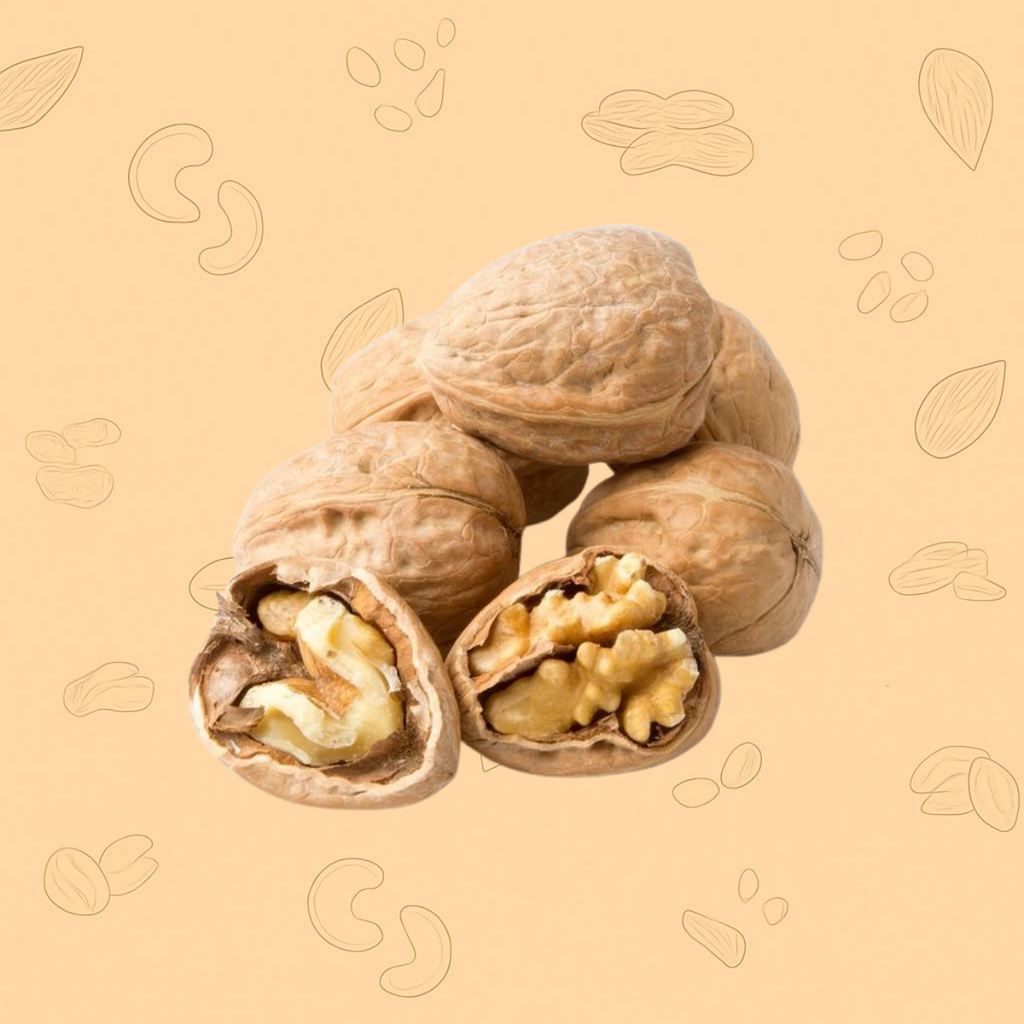 Chile Walnut With Shell – Premium Whole Akhrot