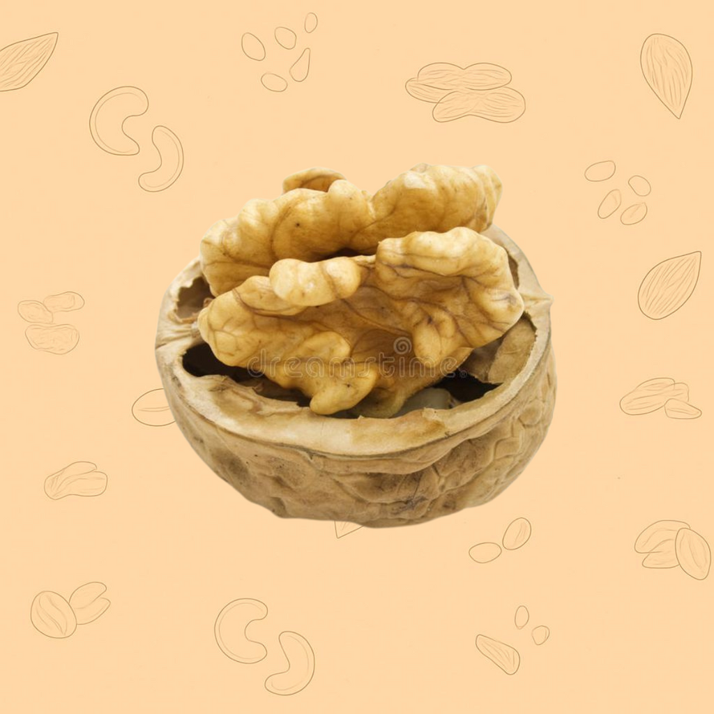 Chile Walnut With Shell – Premium Whole Akhrot