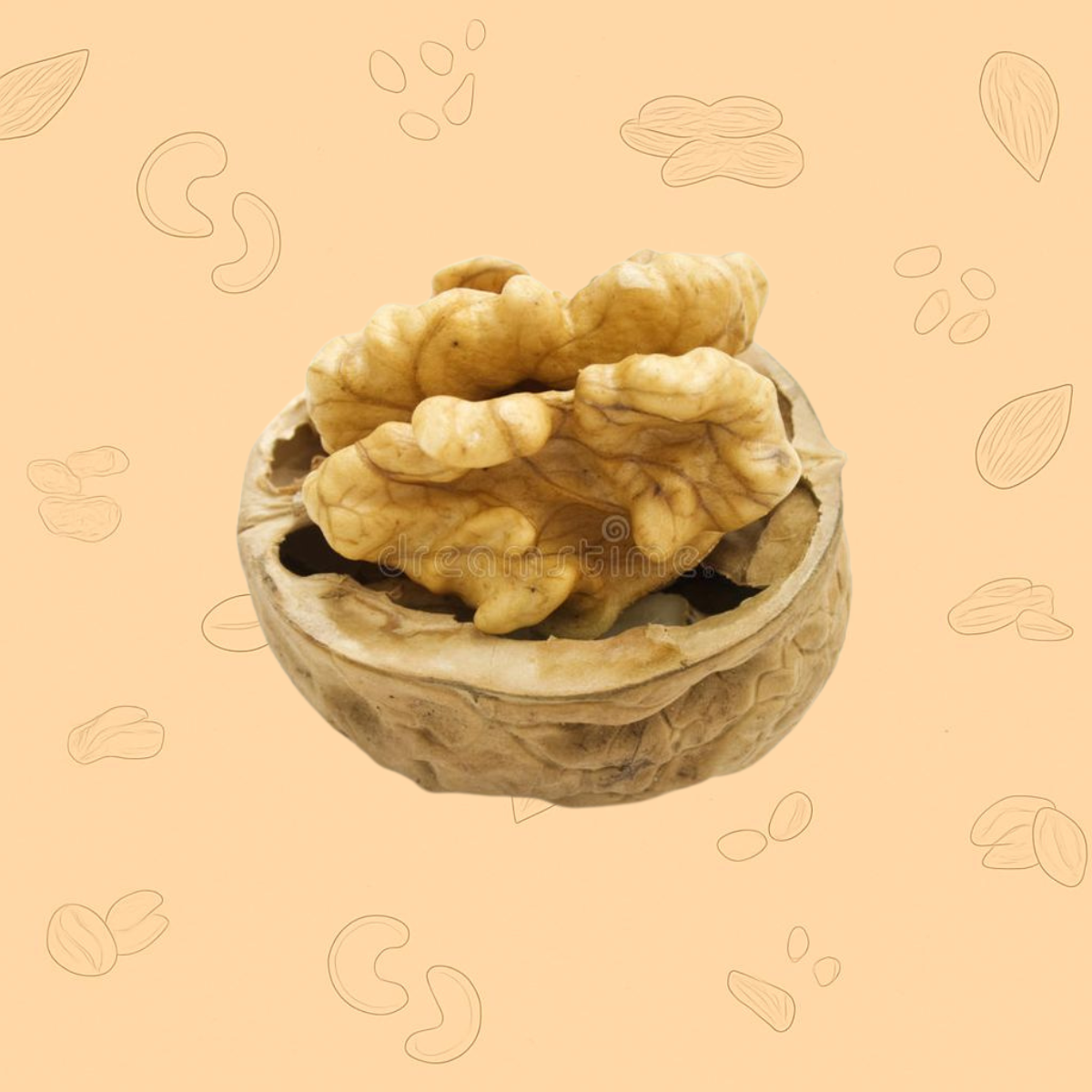 Chile Walnut With Shell – Premium Whole Akhrot