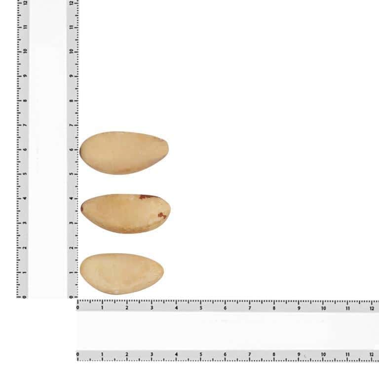 brazil nuts