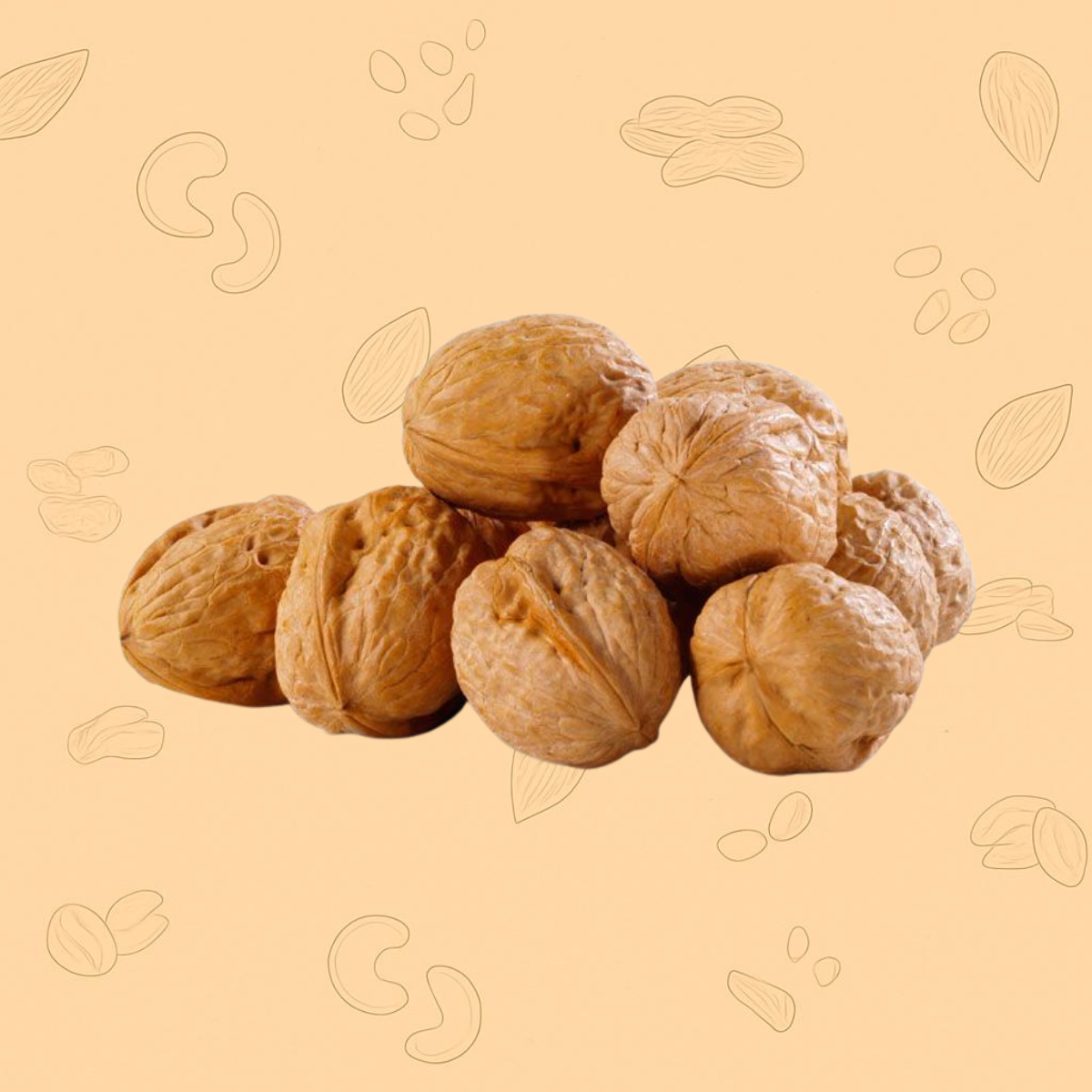 California Walnut With Shell – Premium Whole Akhrot