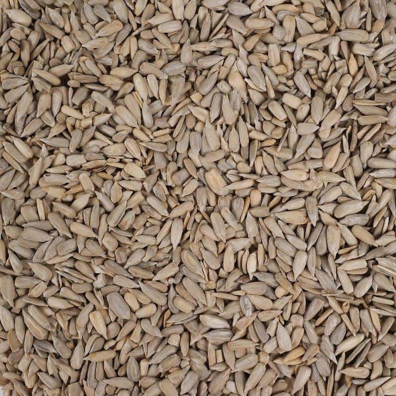 sunflower seeds