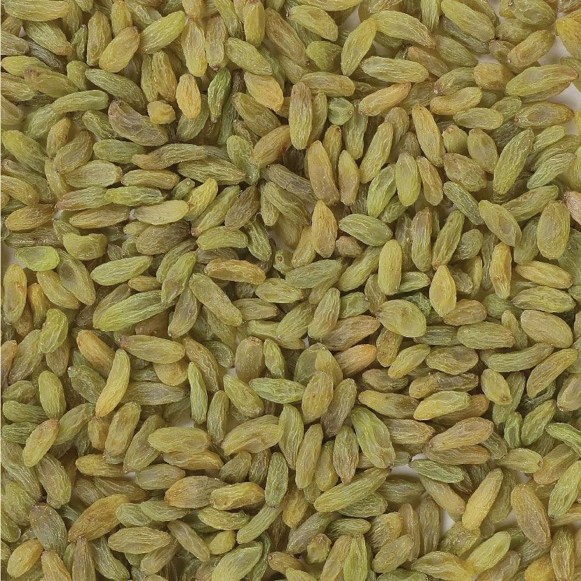 kishmish kandhari