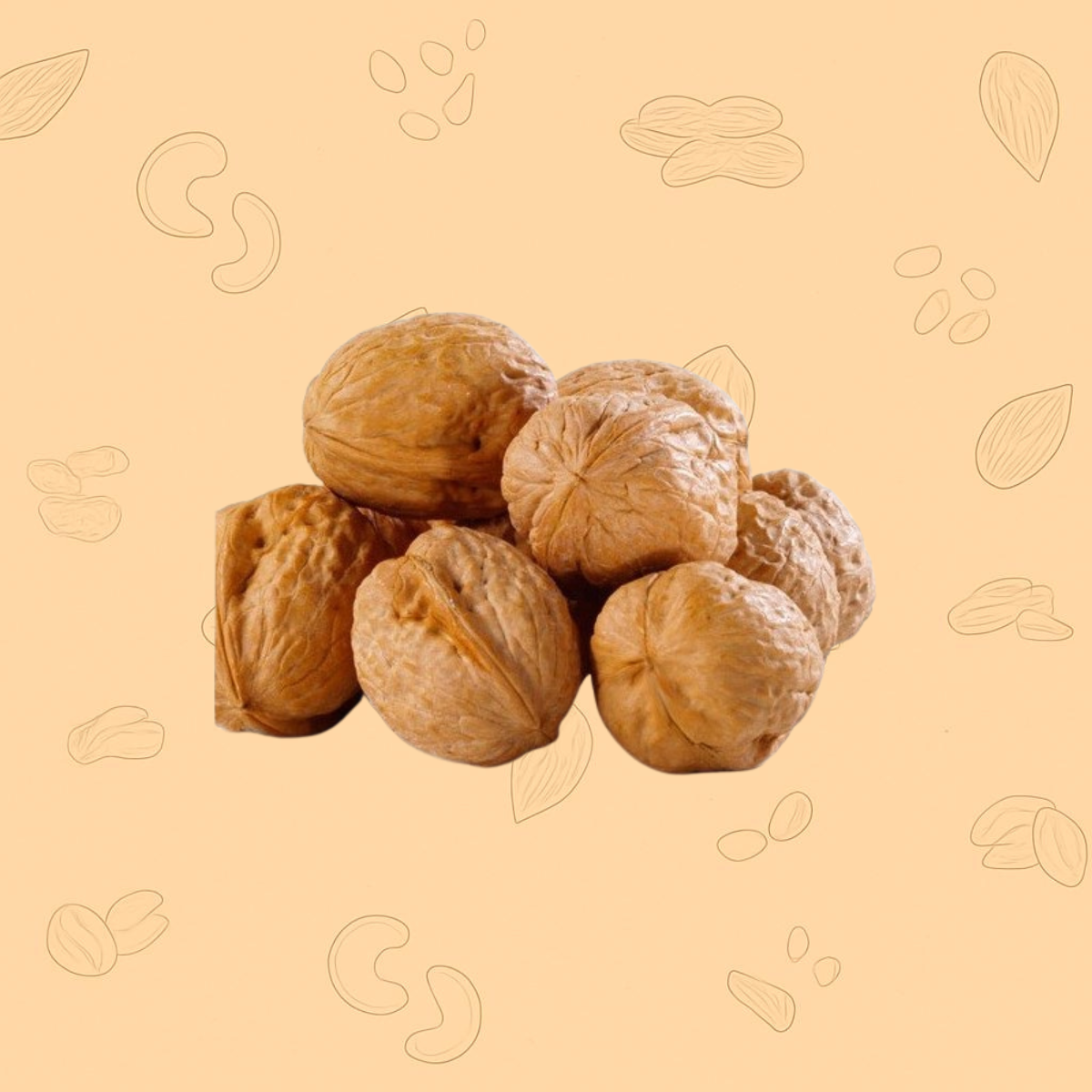 California Walnut With Shell – Premium Whole Akhrot