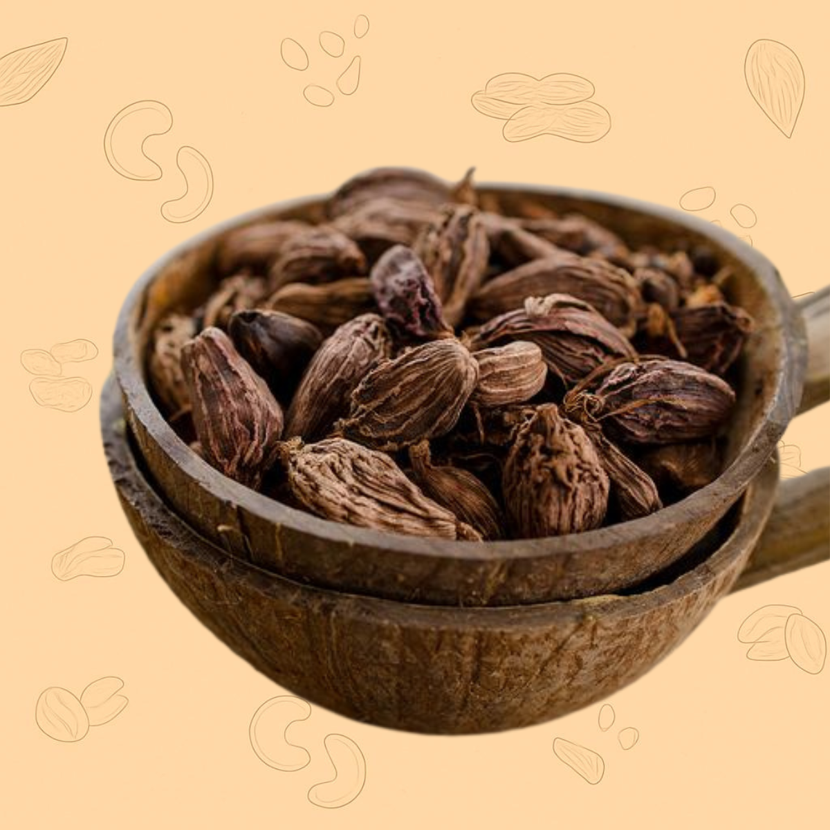Black Cardamom  ( Kali Elaichi ) – The Smoky Spice of India