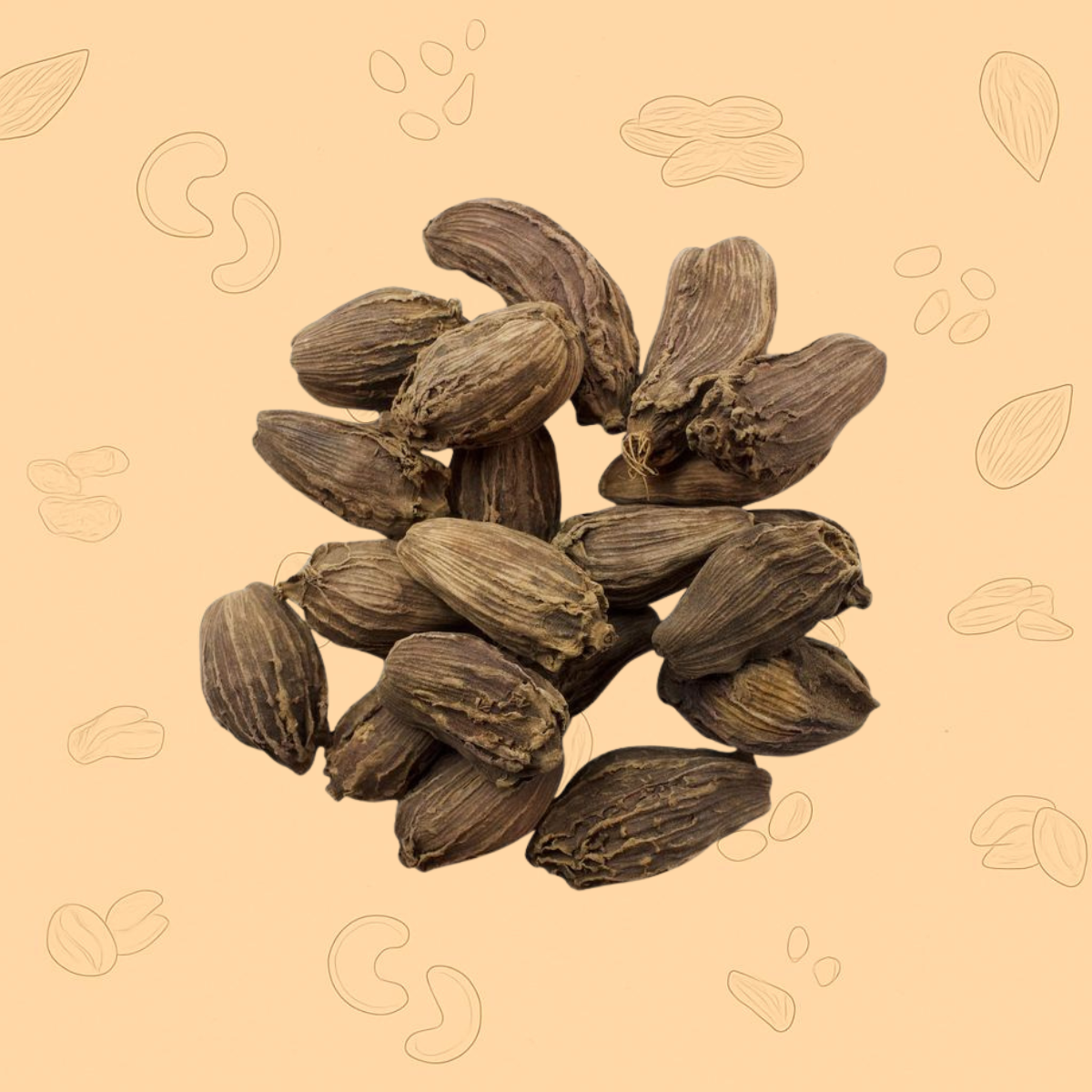 premium quality black elaichi