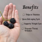 Premium Dried Blackberries
