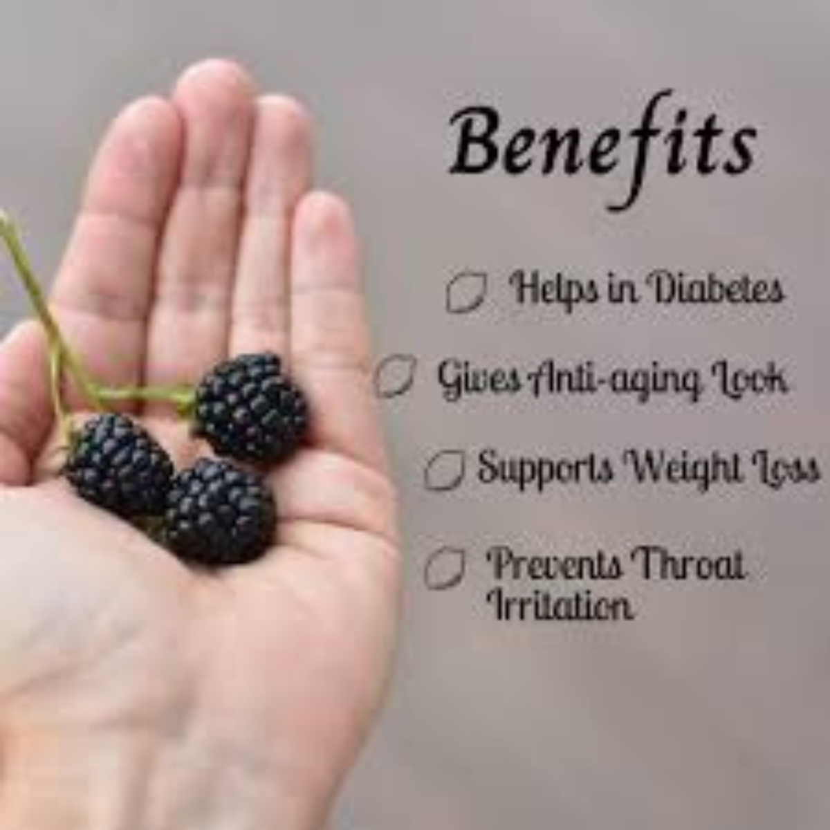 Premium Dried Blackberries