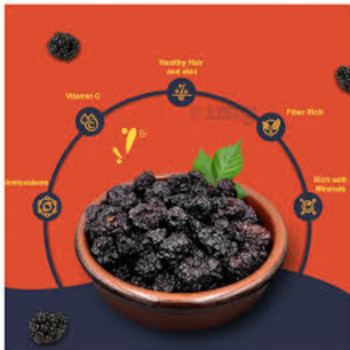 Premium Dried Blackberries