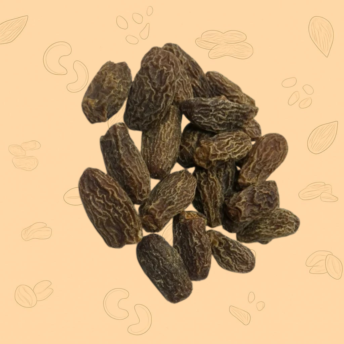 Black Large Chuhara (Dry Dates)