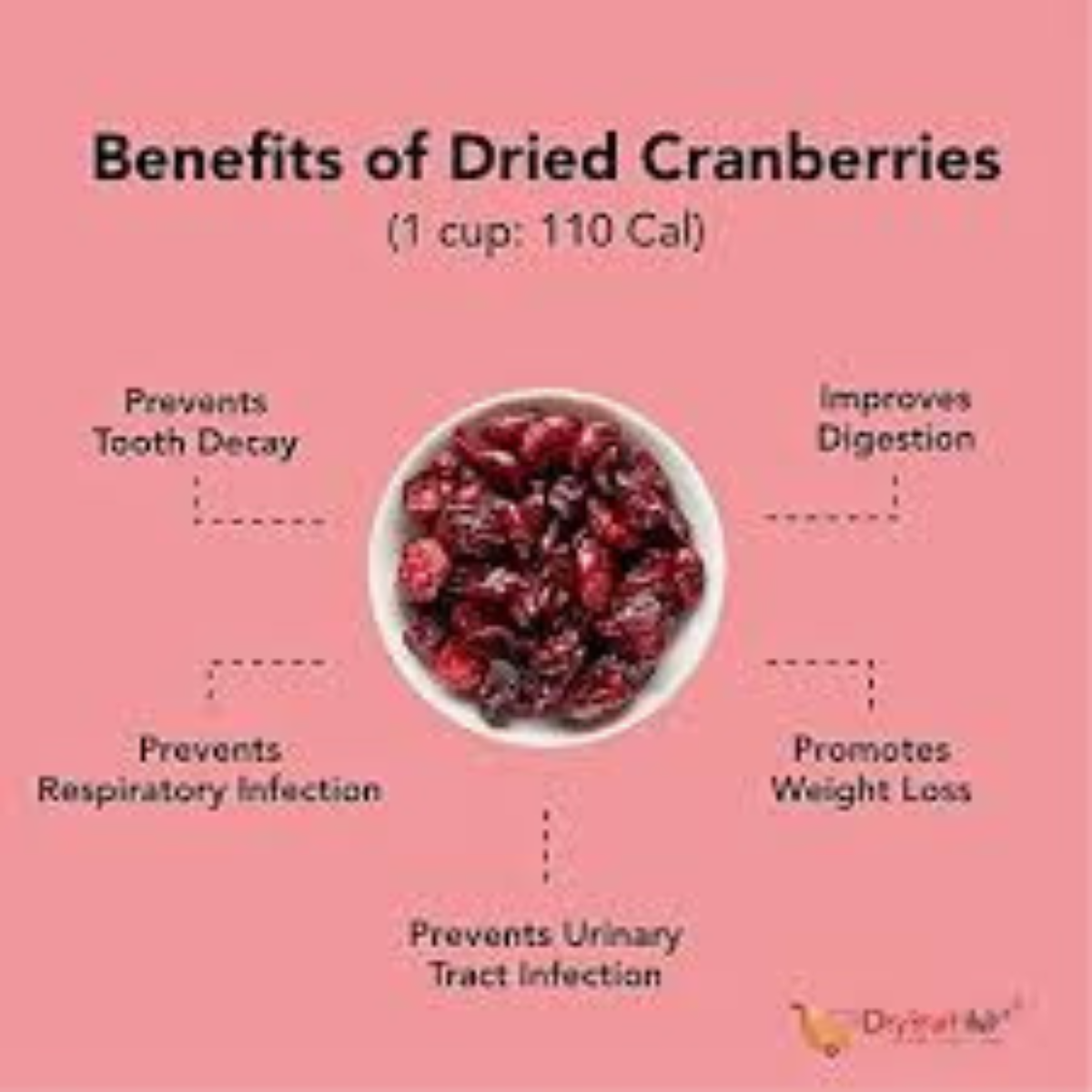 Premium Dried Cranberries