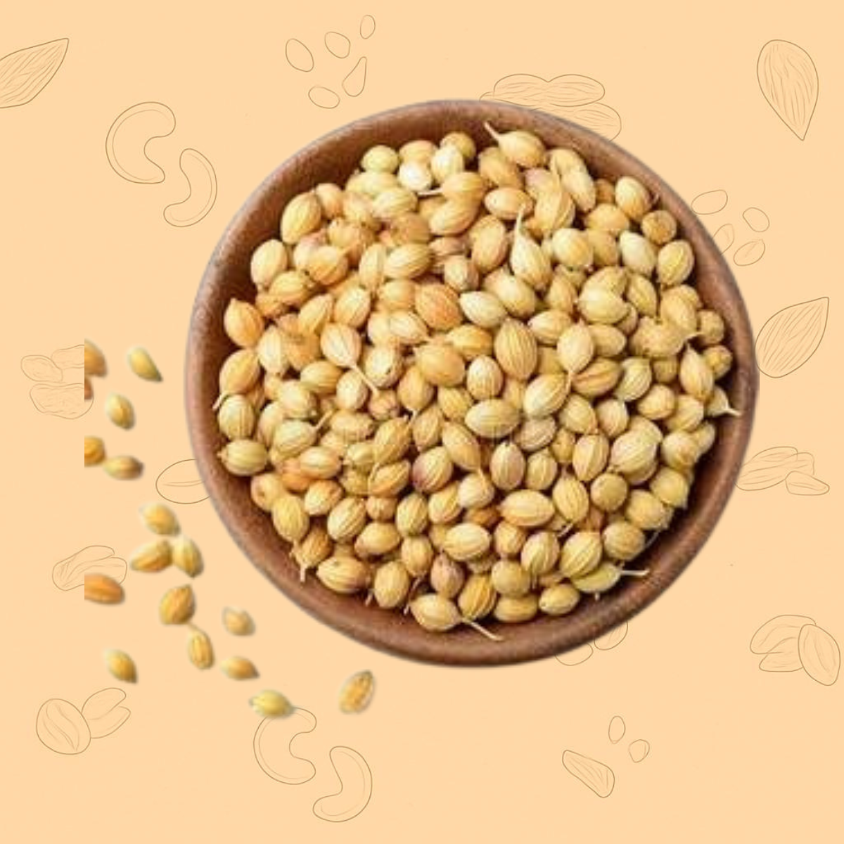 premium coriander seeds (dhania)