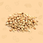 Dhania (Coriander Seeds) – The Heart of Indian Spices
