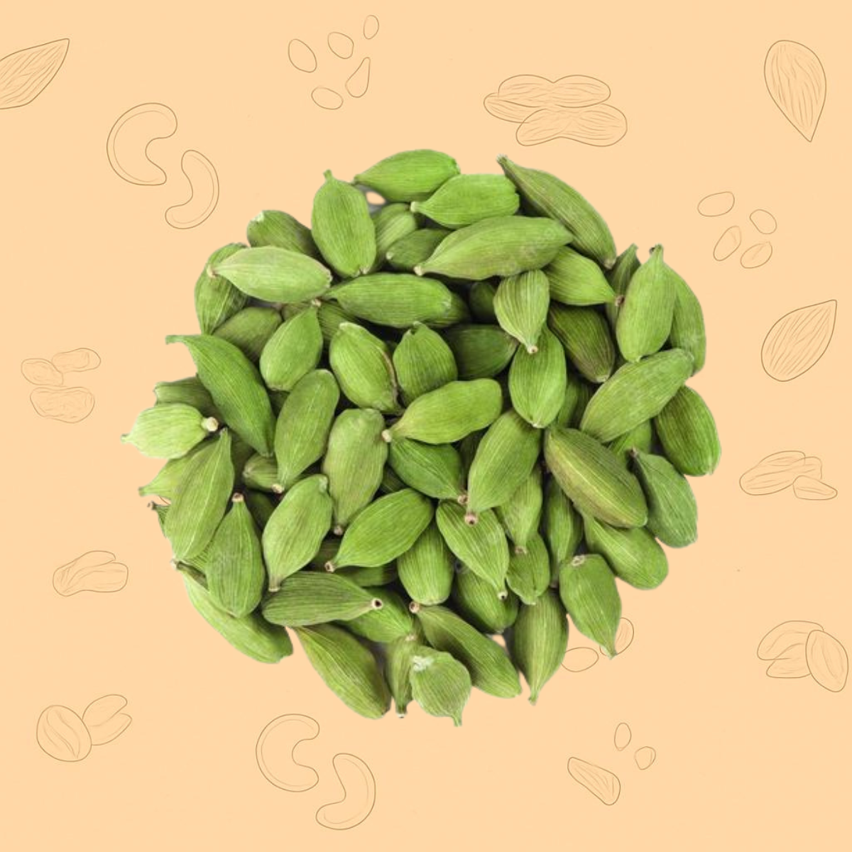 Green Cardamom Medium Size (Elaichi) – The “Queen of Spices”
