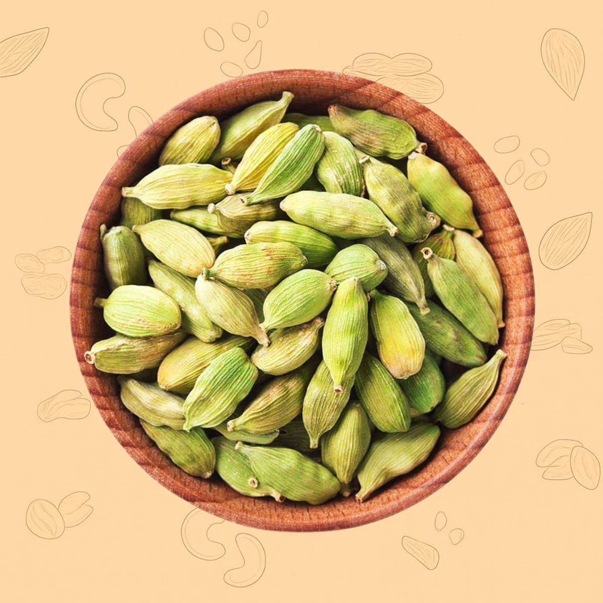 Green Cardamom Big Size (Elaichi) – The “Queen of Spices”