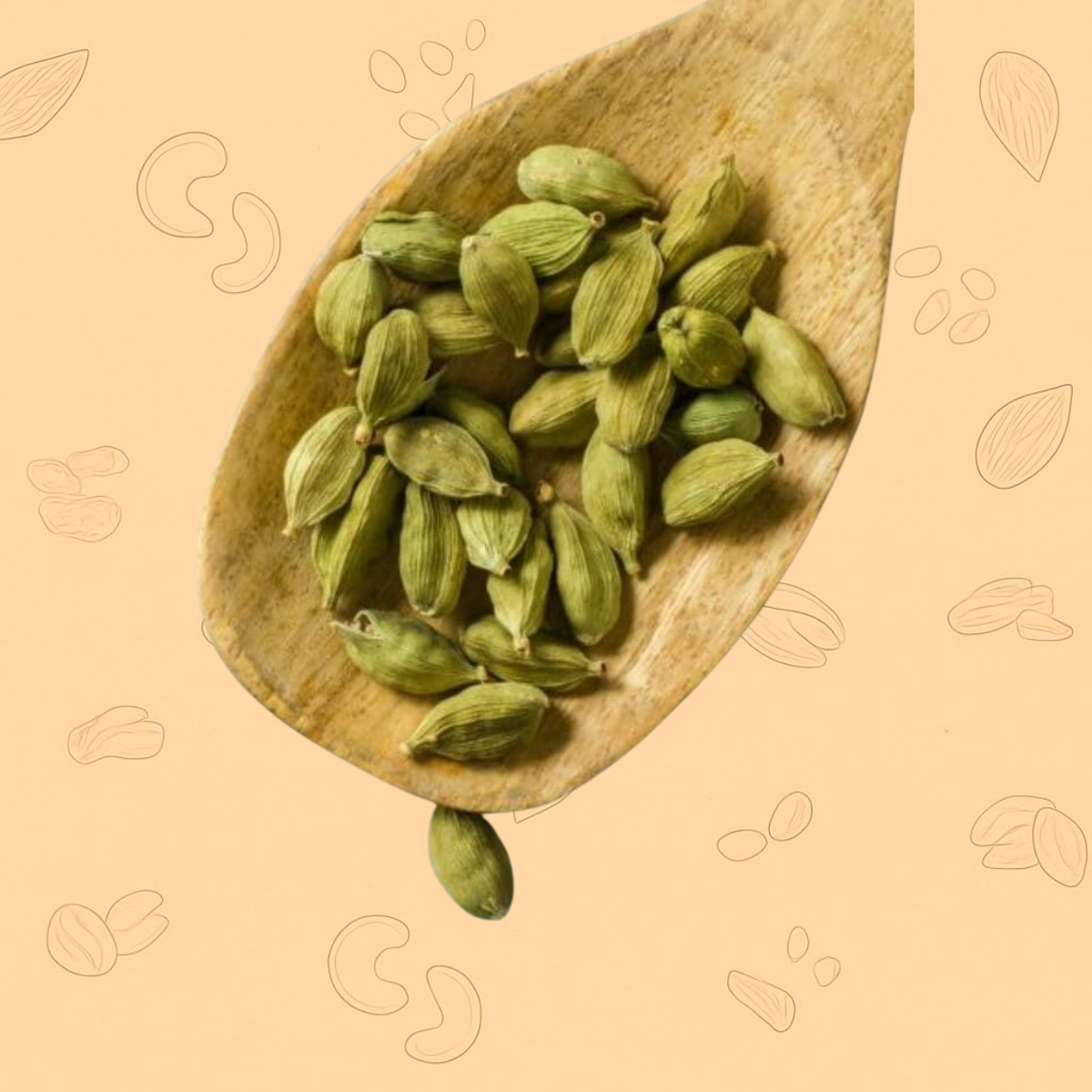 Green Cardamom Big Size (Elaichi) – The “Queen of Spices”