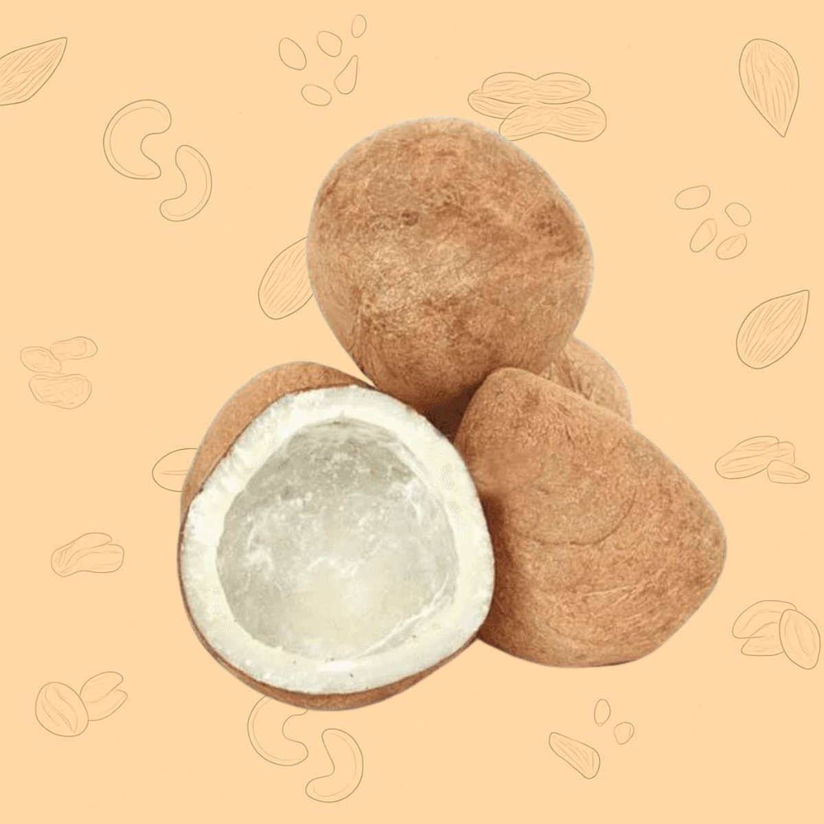 Coconut – Premium Quality