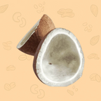 Coconut – Premium Quality