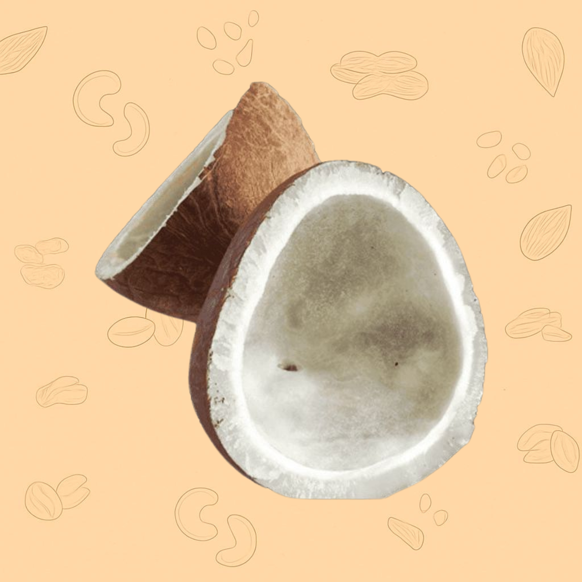 Coconut – Premium Quality