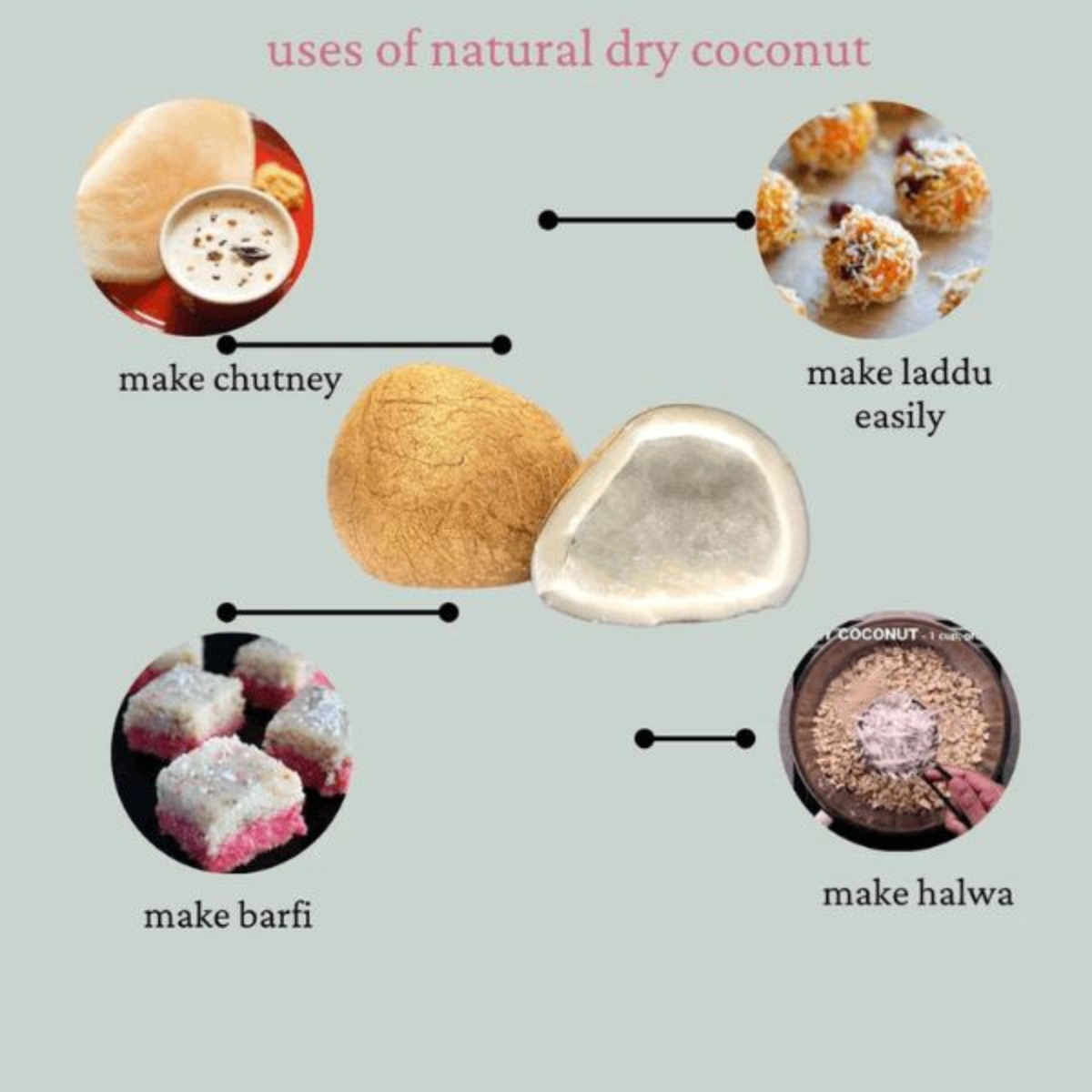 Coconut – Premium Quality