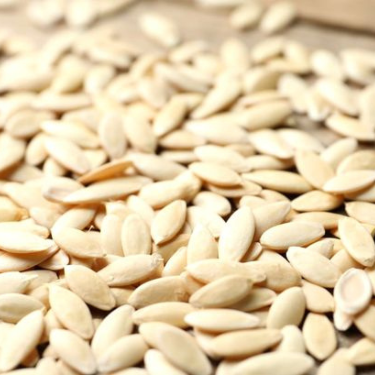 Cucumber Seeds (Kheera – Premium Quality)