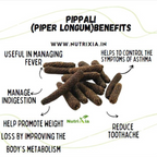 Pippli (Long Pepper / Pippali) – The Ancient Ayurvedic Spice