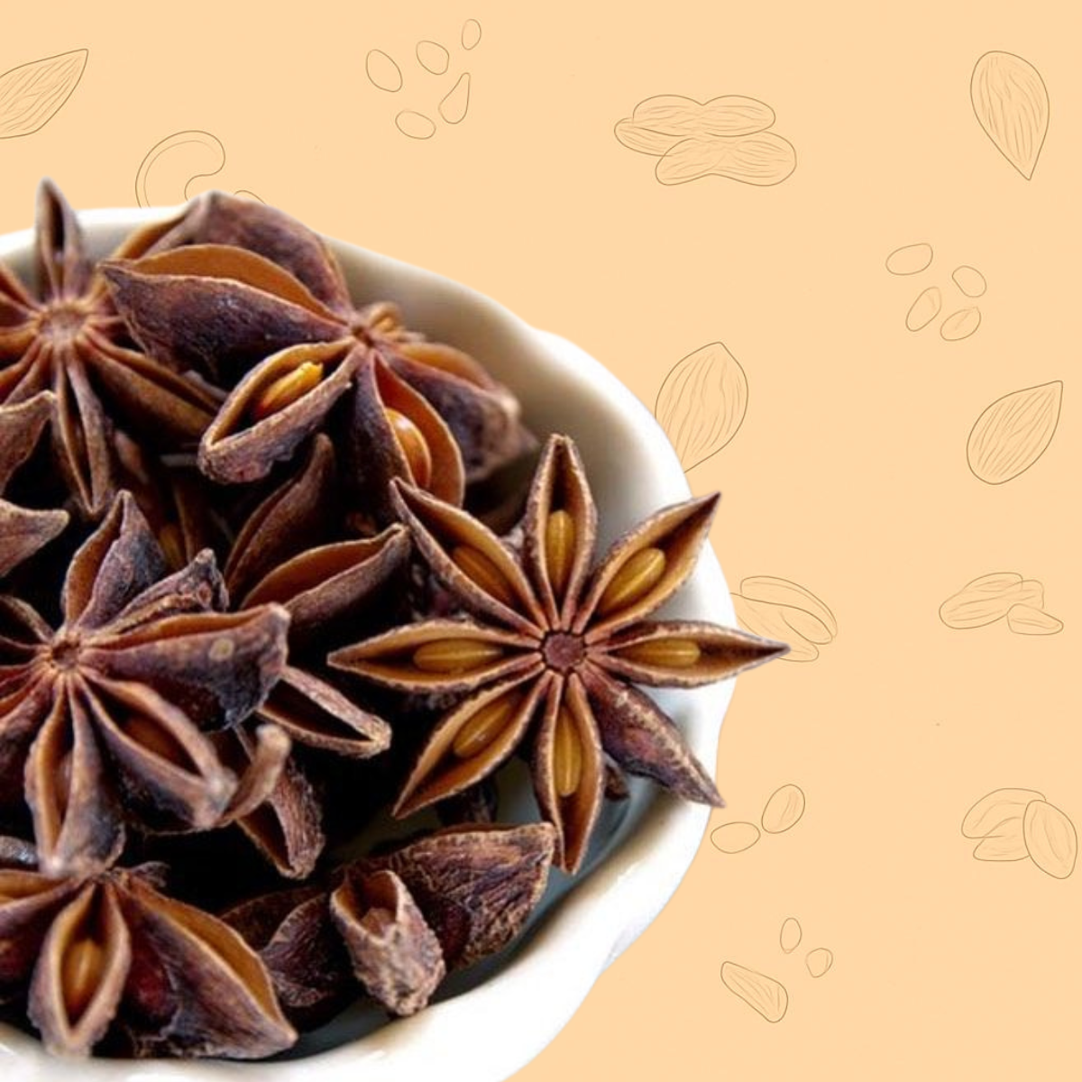 Star Anise (Chakra Phool) – The Star of Spices