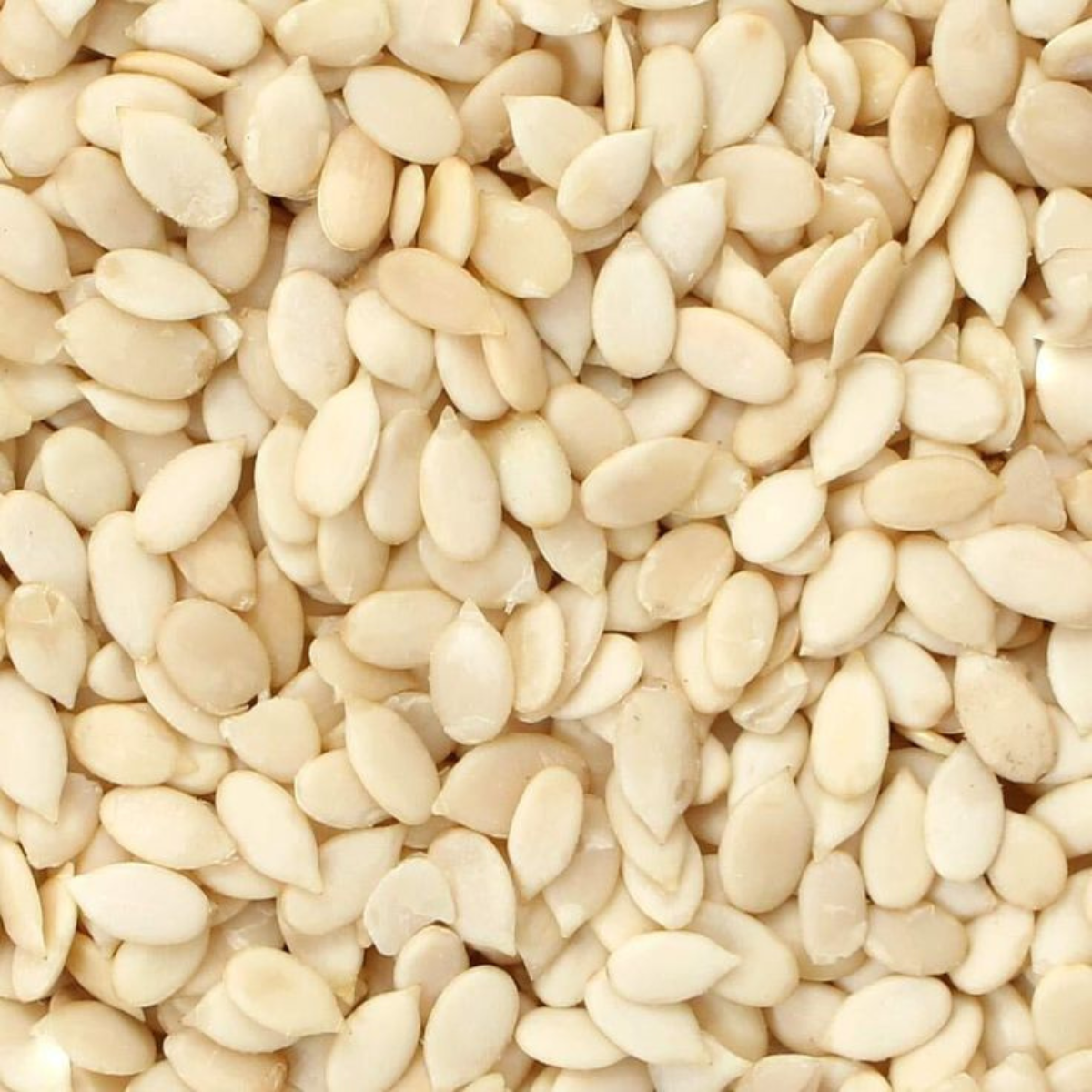 Watermelon Seeds (Tarbuj Seed) Premium Quality