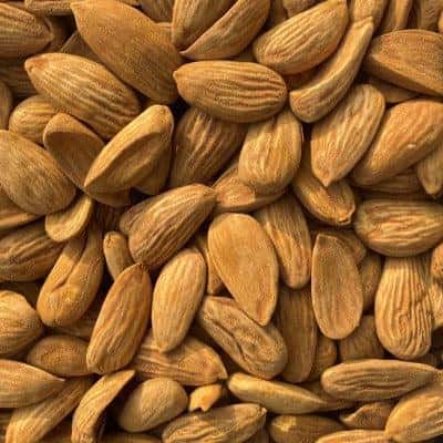 badam mamra, 100% pura irani mamra