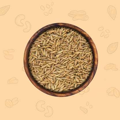 Premium Jeera (Cumin Seeds)