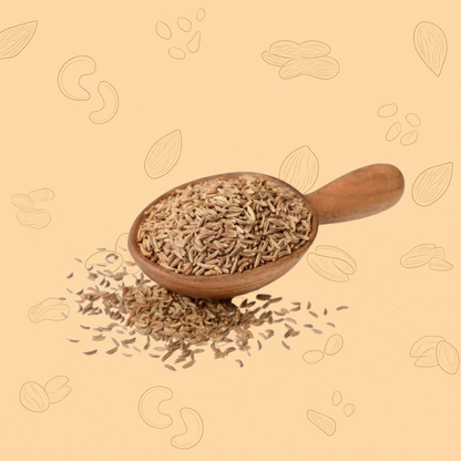Premium Jeera (Cumin Seeds)